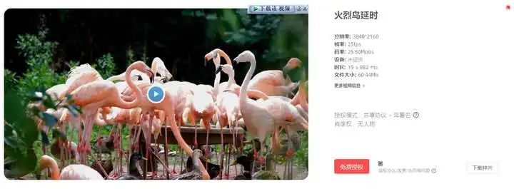 視頻剪輯資源在哪下載_視頻剪輯資源網(wǎng)_視頻剪輯資源哪里下載